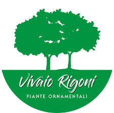 VIVAIO RIGONI PARTNER TEDX PIAZZOLA 2025